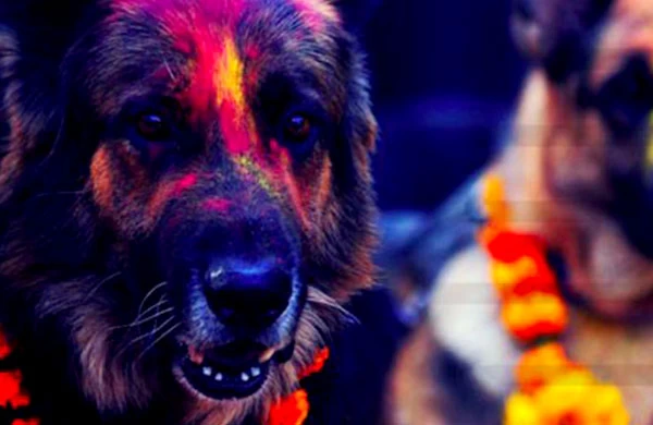 Dashain and Tihar: The biggest Hindu festival of Nepal