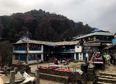 Ghorepani Poon Hill Trek - Annapurna short Trek blog