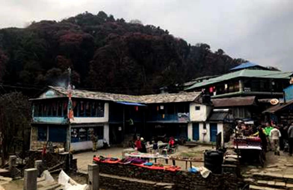 Ghorepani Poon Hill Trek - Annapurna short Trek blog