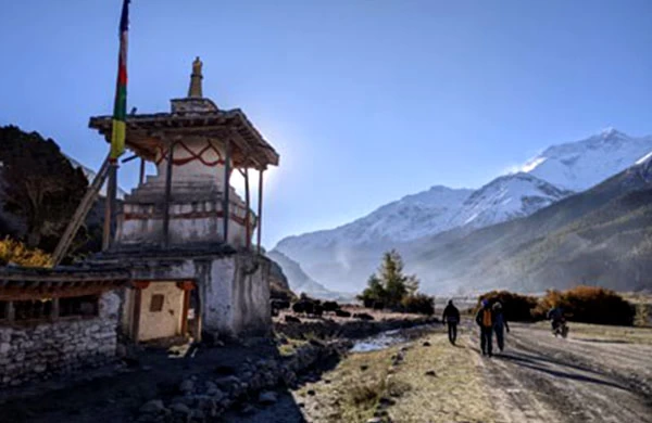 Unveiling the Untouched Beauty of Nepal: Langtang Valley Trek in 7 Days