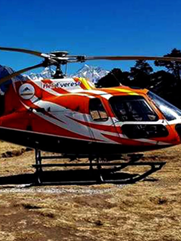Helicopter Tours