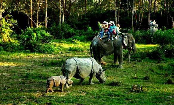 Chitwan national park Elpnet rides