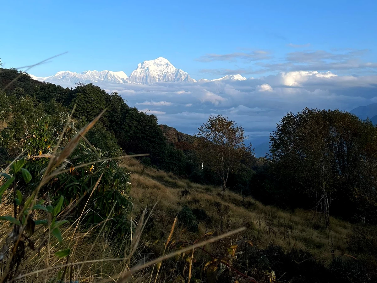 4 Days Ghandruk Poon Hill Trek Itinerary
