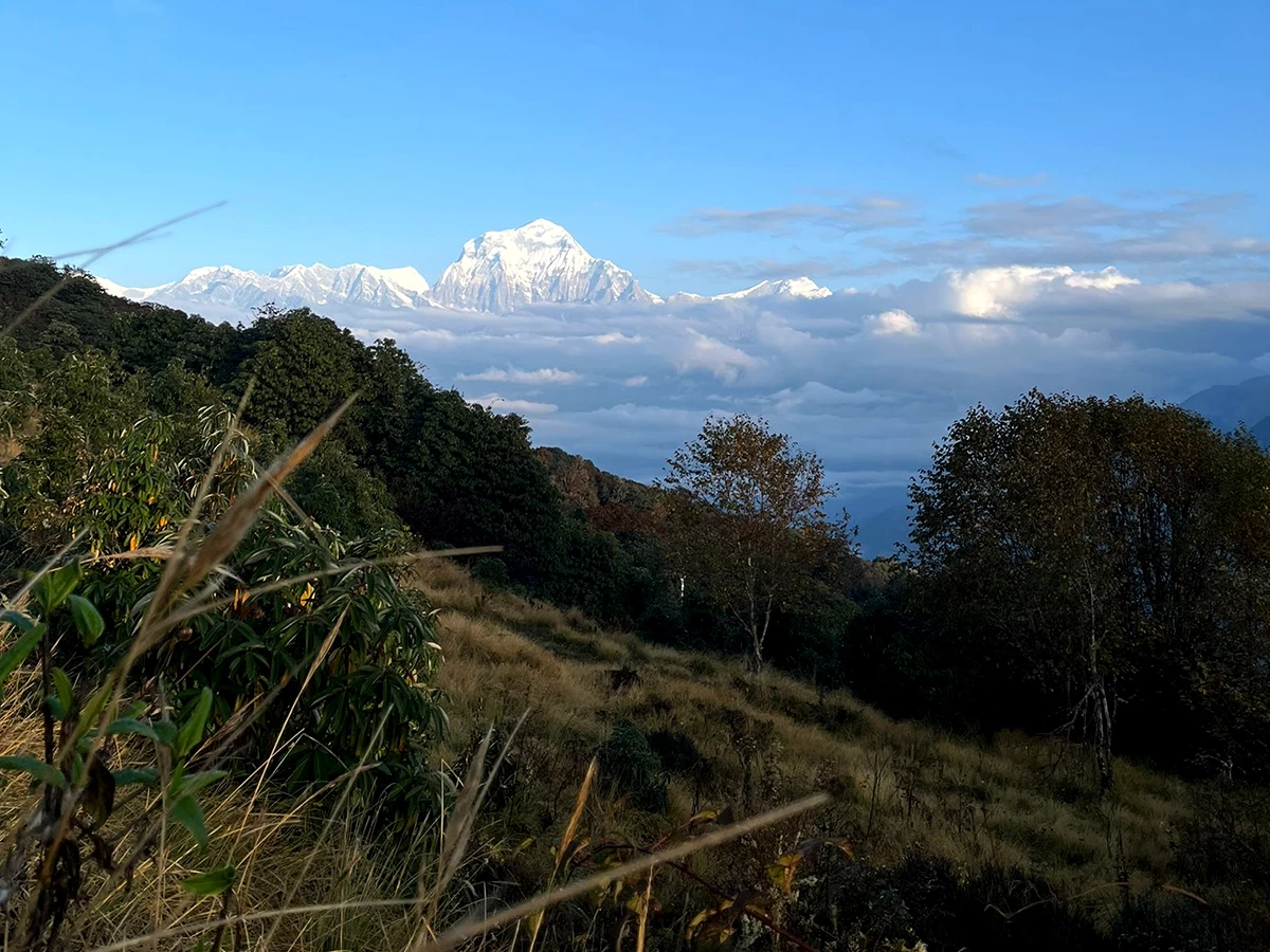 2 Days Poonhill Trek From Pokhara