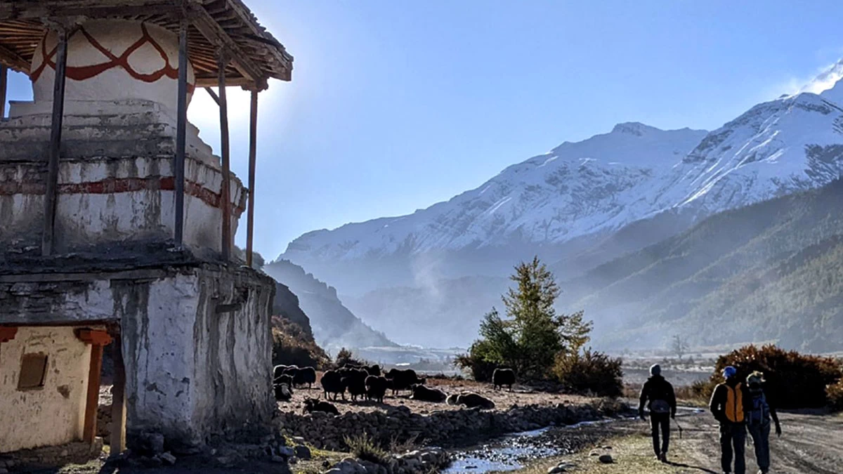 Unveiling the Untouched Beauty of Nepal: Langtang Valley Trek in 7 Days