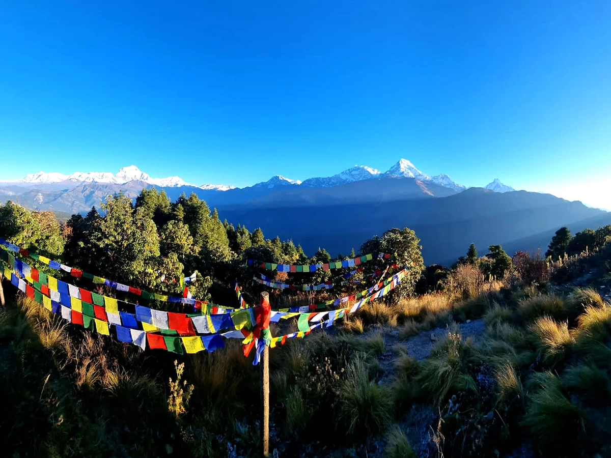 Ghorepani Poon Hill Trek