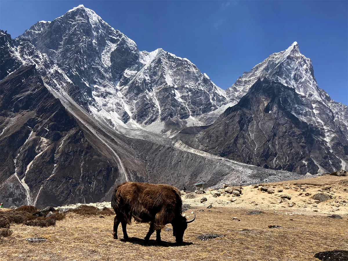 Everest Base Camp Trek For Seniors