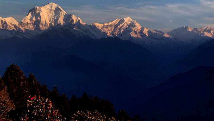 2 Days Poonhill Trek From Pokhara or Kathmandu