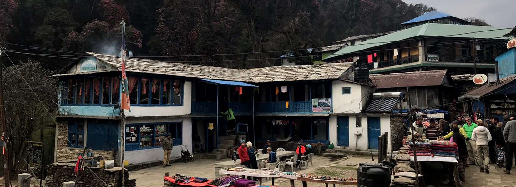 Ghorepani Poon Hill Trek - Annapurna short Trek blog