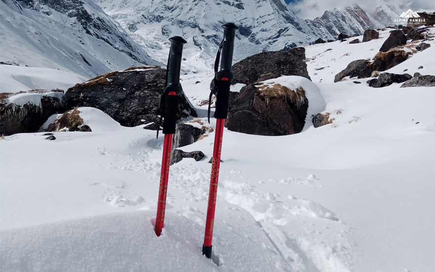 trekking poles