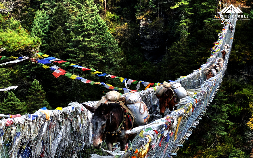 everest-trekking-route