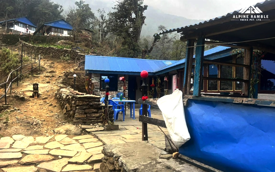 mardi himal trek itinerary