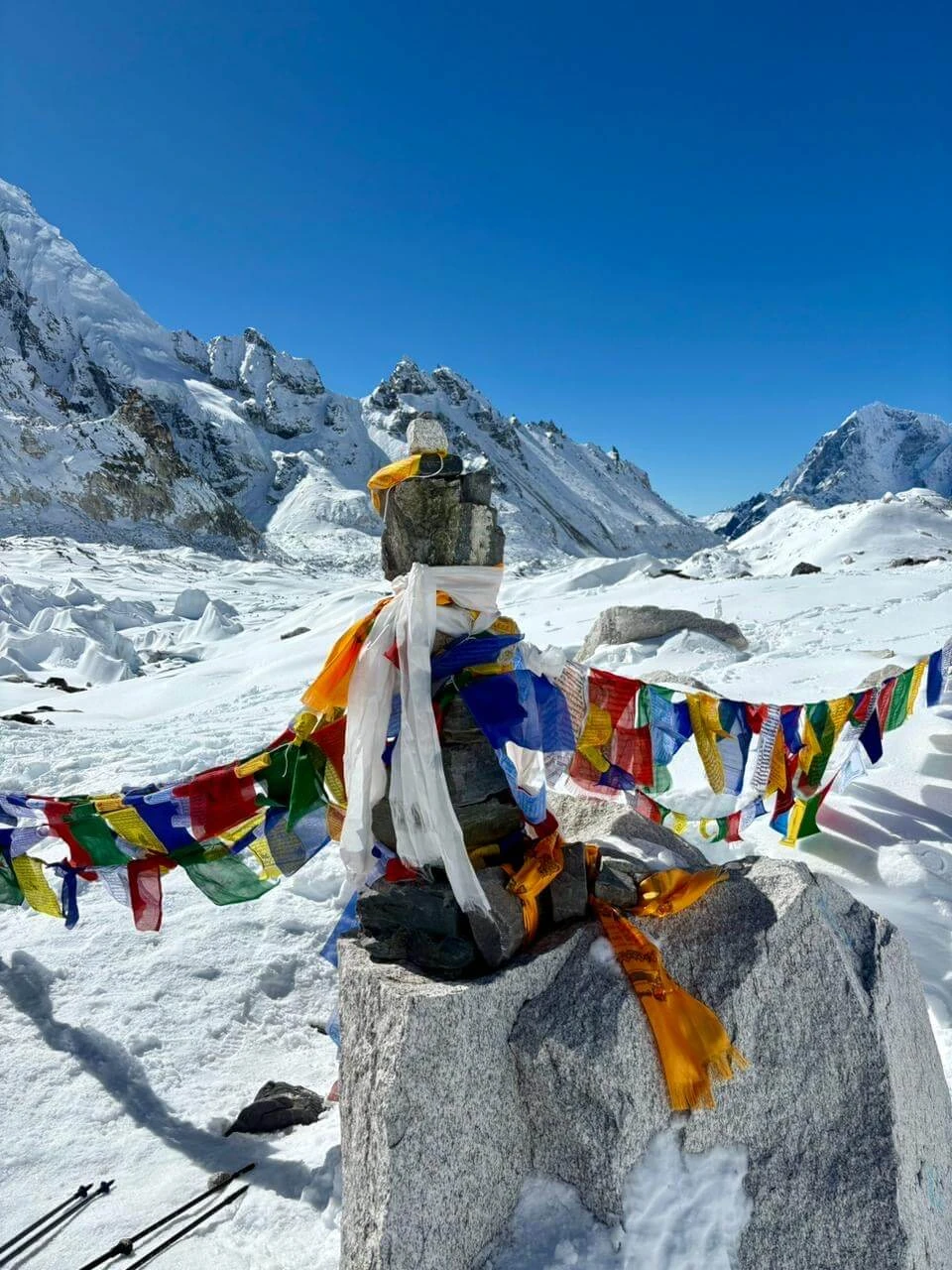 8634fa08 2474 4a40 B867 3319770221b2 (1) (1)