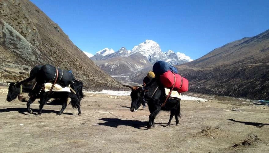 Everest 23 1