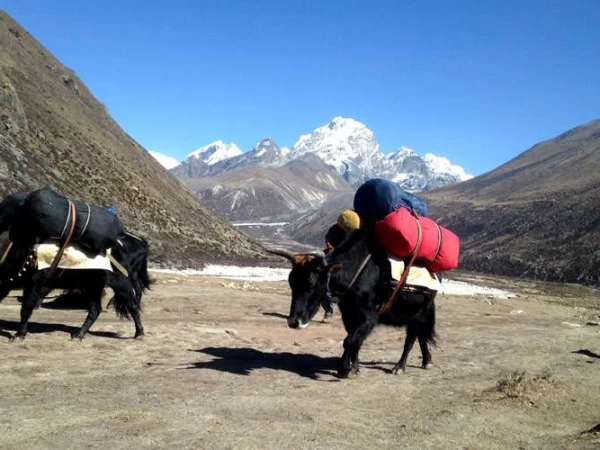 Everest 23