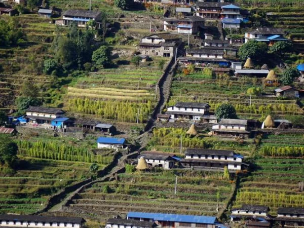 Local Village In Annapurna