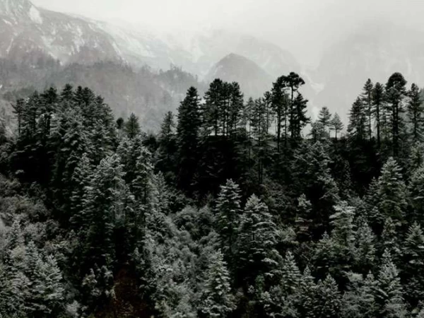 Lush Opfrest In Everest