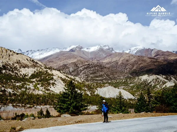 Mustang Trip