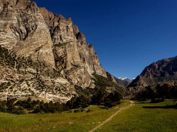 Roky Moutain