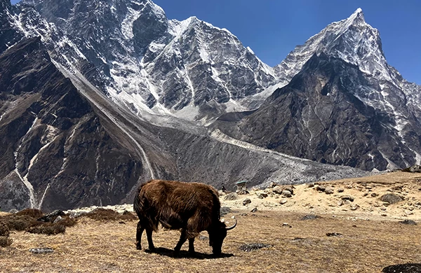 Everest Base Camp Trek For Seniors